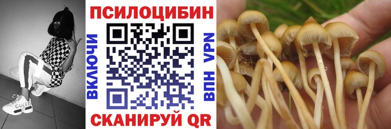 где продают наркотики  Дубовка  Галлюциногенные грибы Psilocybe 